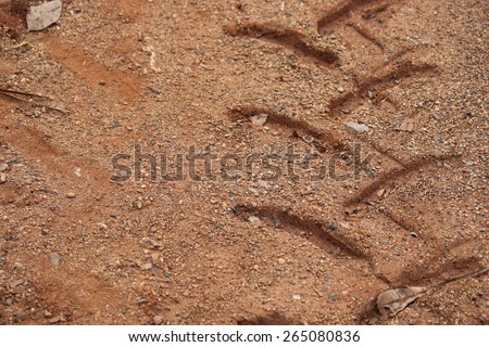 Wheel print on red soil