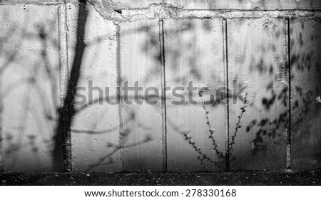 Shadows from fresh summer trees and bushes against a brick panel wall in black and white