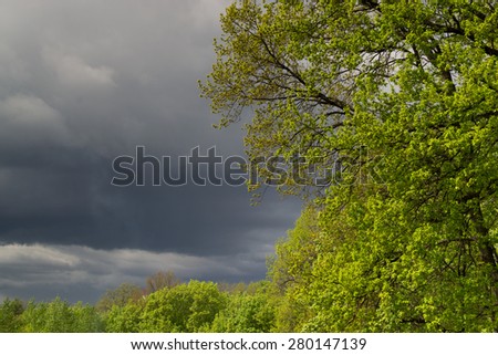Dark storm clouds over green trees in a forest with copyspace