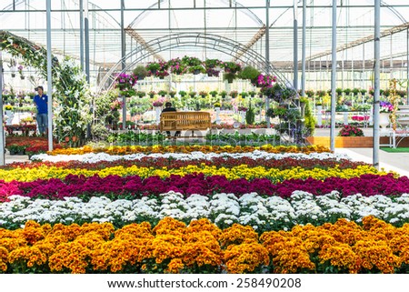 nursery of flowers and plants for garden in greenhouse.