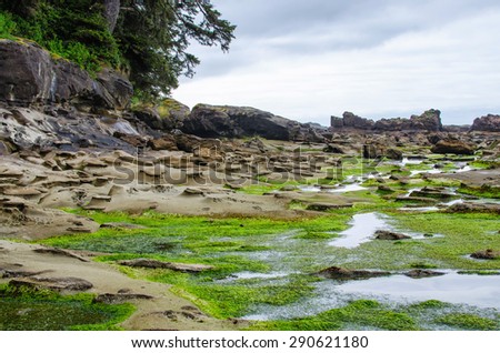 Rocky beach in a low tide on the West Coast Trail located on Vancouver Island in British Columbia