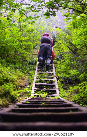 Backpacker climbing up a ladder on West Coast Trail in the woods of Pacific Rim National Park, British Columbia