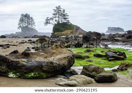 Rocky beach with little islets in a low tide  on the West Coast Trail located on Vancouver Island in British Columbia