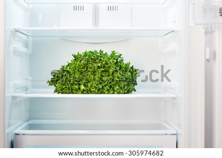 Green salad on shelf of open empty refrigerator. Weight loss diet concept.
