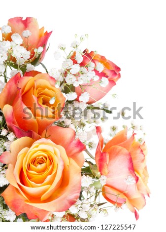Orange roses with white flowers on a white background