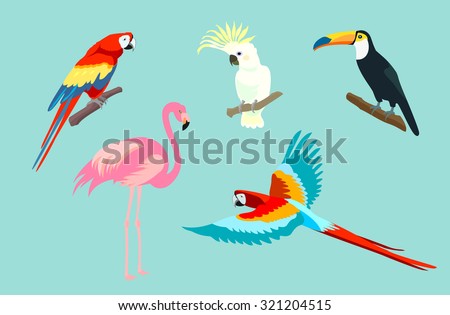 Set of birds. Bright exotic tropical birds. Macaw, Cockatoo, flamingo, toucan.\
Vector.