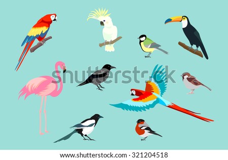 Set of birds. Bright exotic tropical birds. Macaw, Cockatoo, flamingo, toucan, magpie, crow, bullfinch, tit, sparrow.\
Vector.