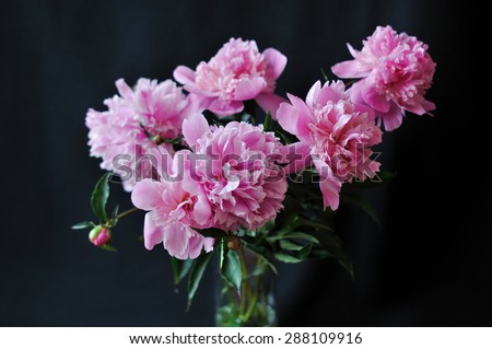 Peony bouquet in glass vase on the black background