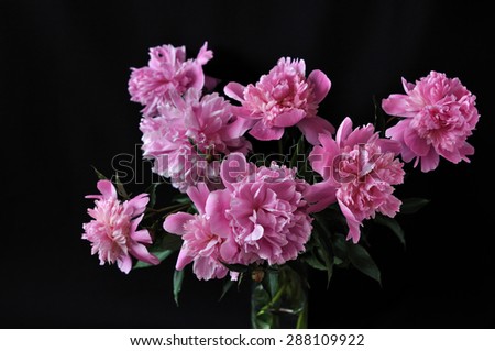 Peony bouquet in glass vase on the black background