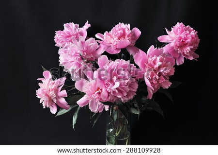Chic peony bouquet in glass vase on the black background