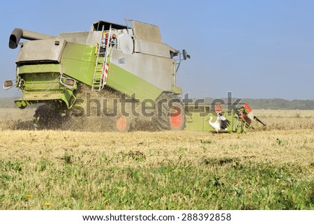 Harvester works in the field in summer time and the stork is looking for food