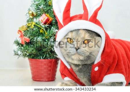 Christmas cat dressing up in red rabbit costume and sitting near Christmas tree