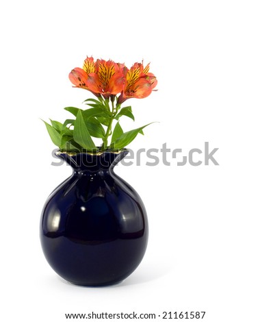 dark blue vase and a flowers