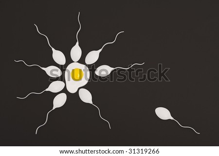 stock-photo-sperm-last-to-get-to-egg-31319266.jpg
