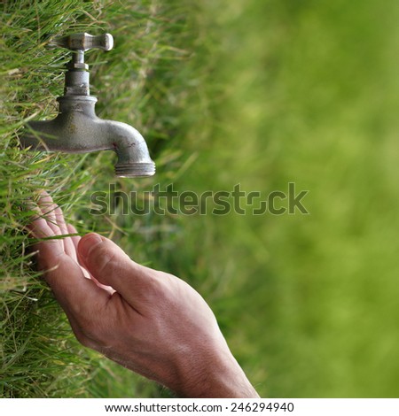 Life and water, nature and lifestyle conceptual photo. Taken outdoor, nice sunlight effect.