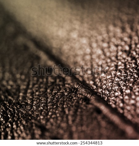 Elegant brown jacket detail. Close up photo, nice light and fabric texture detail.
