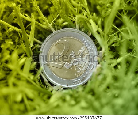 Two Euros coin lost in the grass. Money and nature.