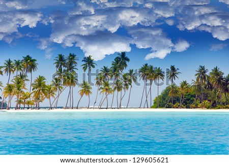 The island with palm trees in the ocean The island with palm trees in the ocean