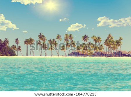 The island with palm trees in the ocean,with a retro effect