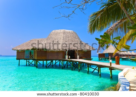 Island in ocean, overwater villa. Maldives.