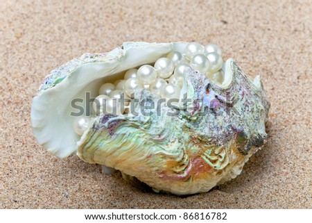 Bright multi-color sea shell with pearls inside