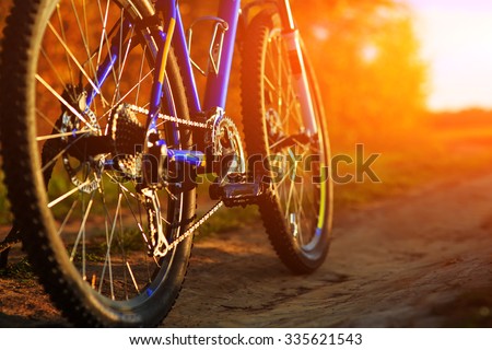 Mountain bicycle at sunny day on the dirt road