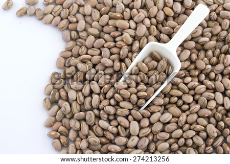 white plastic scoop dipped in pinto beans and white background for text or copy