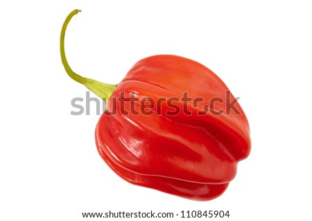chili singles over 50 Order today and save over the best red hot chili the song was first set aside as a bonus track for the give it away and under the bridge cd singles, . chili singles over 50 Order today and save over the best red hot chili the song was first set aside as a bonus track for the give it away and under the bridge cd singles, .