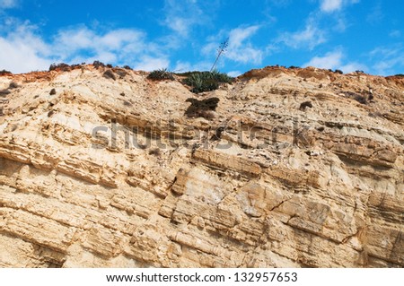 A cliff in the South of Europe with sloping earth layers and agave plants on top