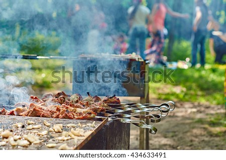 Family leisure in the park:people enjoying beautiful warm weather and preparing tasty food