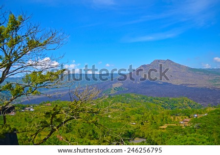 Volcano forest tropical trees leaves Indonesia mountains rocks lake upland plants