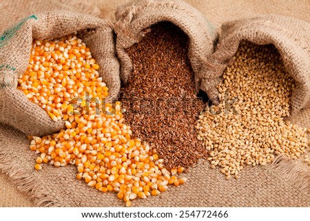 Row healthy grain food (corn, flax and wheat) spilled out from jute sack.
