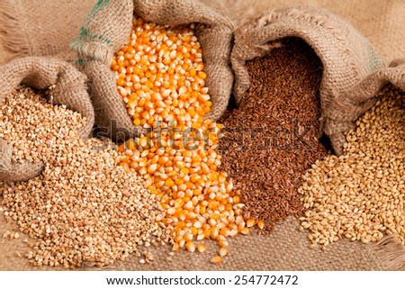 Row healthy grain food ( buckwheat, corn, flax and wheat) spilled out from jute sack.