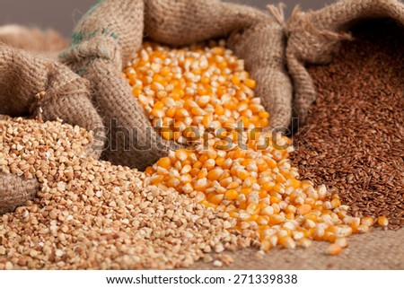Background made o raw healthy grain food (buckwheat, corn and flax) spilled out from jute sack.
