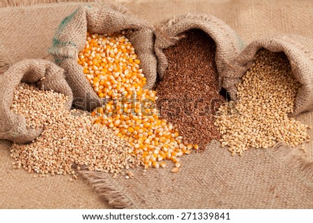 Background made o raw healthy grain food (buckwheat, corn, flax and wheat) spilled out from jute sack.