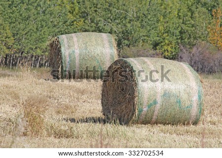 Two Round Hay Bales with Green wrap
