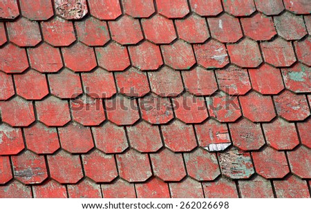 Red roof of an old fishing house, tiles texture and background, Patagonia