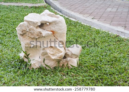 A stone is put on the grass yard of the garden for decoration purpose
