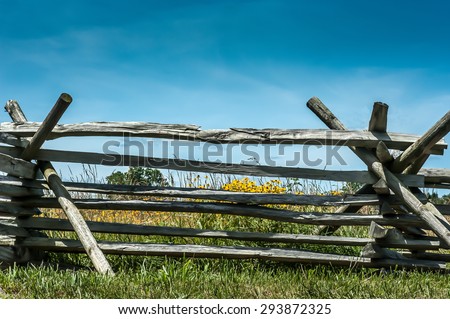 Split rail wooden fence with yellow flowers against blue sky.