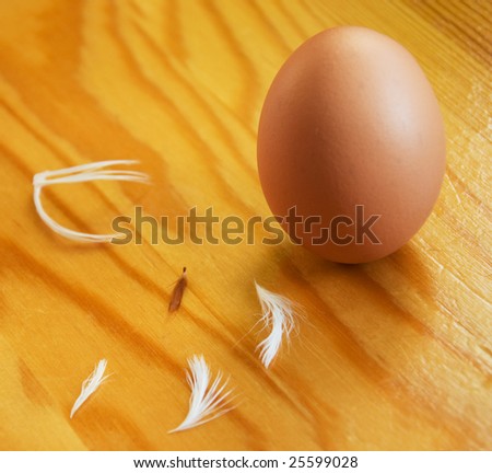 hens\' egg and feathers on wooden table