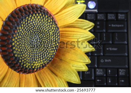 Plastic Sunflower
