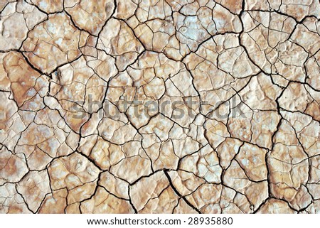 the background with the dry ground.