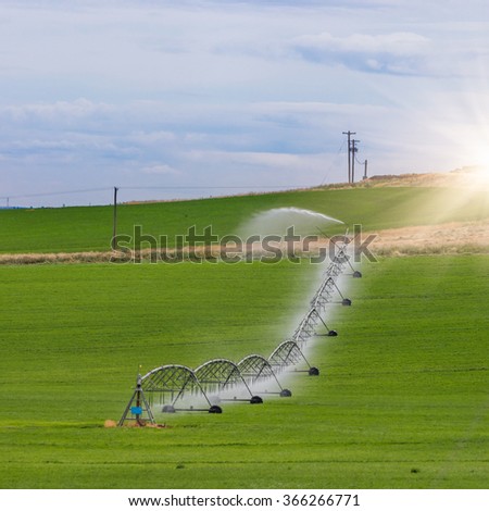 Irrigation sprinkler watering crops on fertile farm land, usa.