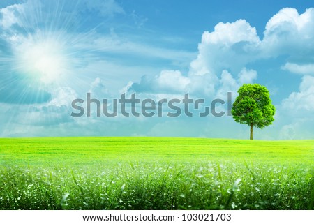summer rural landscape under the blue skies and bright sun