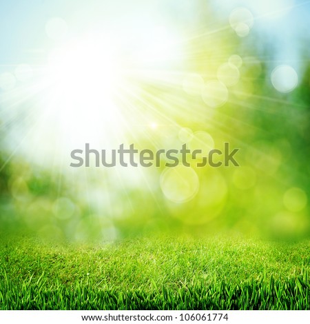 Under The Bright Sun. Abstract Natural Backgrounds