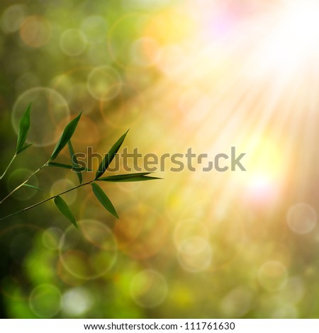 Abstract oriental backgrounds with bamboo foliage