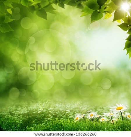 Beauty Morning In The Green Forest, Eco Backgrounds