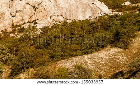 Forest on the mountains, abstract natural landscape