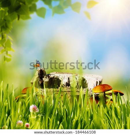 Abstract natural backgrounds with green grass, mushrooms, etc under bright sun