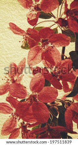 Oriental grungy floral backgrounds with real rice paper texture
